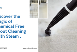 Discover the Magic of Chemical-Free Tile Grout Cleaning with Steam