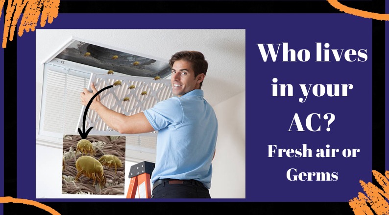 Who lives in your AC - Fresh Air or Germs? Who lives in your AC - Fresh Air or Germs?